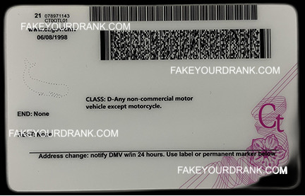 Connecticut Fake ID - Image 2