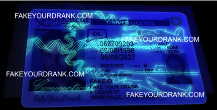 Connecticut Fake ID - Image 3
