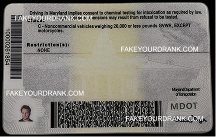 Maryland Fake ID - Image 2