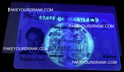 Maryland Fake ID - Image 3