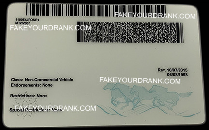 Montana Fake ID - Image 2